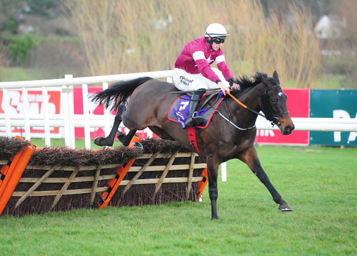 Apple's Jade wins the Frank Ward Memorial Hurdle Apple's Jade wins the Frank Ward Memorial Hurdle