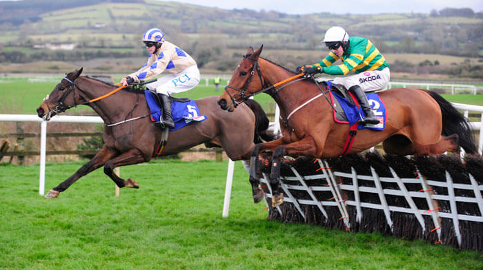 Andy Dufresne wins the Moscow Flyer Novice Hurdle Andy Dufresne wins the Moscow Flyer Novice Hurdle