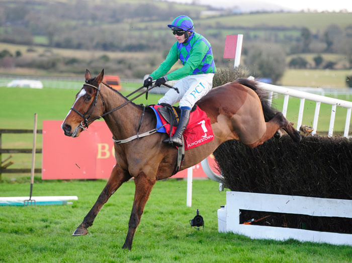 Carefully Selected wins at Naas Carefully Selected wins at Naas