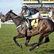 ALTIOR