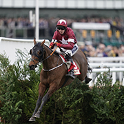 Tiger Roll