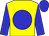Yellow, blue disc, sleeves and cap (Exors Of The Late Mr H J M Webb)