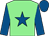 Light green, royal blue star, sleeves and cap (Slattery Bloodstock Ltd)