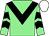 Light green, black chevron, chevrons on sleeves, white cap (Mr J W Nellis)