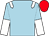 Light blue, white epaulets, halved sleeves, red cap (Foxtrot Racing)