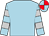 Light blue, silver hooped sleeves, light blue and red quartered cap (Lord Clinton & Captain Adrian Pratt)
