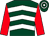 Dark green, white chevrons, red sleeves, dark green and white hooped cap (G Libson,d Bayliss,t Davies & P Sly)