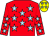 Red, light blue stars, yellow cap, light blue stars (Mr Mark Adams)