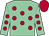 Eton blue, scarlet spots and cap (Brinkhill Partnership)
