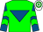 Green, royal blue inverted triangle, royal blue and green chevrons on sleeves, white and green hooped cap (Laois Limerick Syndicate)
